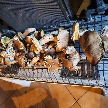Maison Proche De Lacs Entouree De Bois Et Forets *